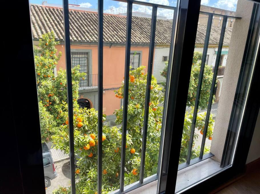 El Balcon De Los Naranjos Кордова Экстерьер фото